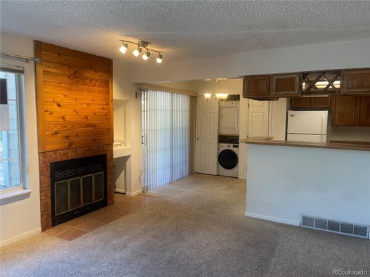 Fireplace, Interior, Utility Closets, Washer, Wooden Walls