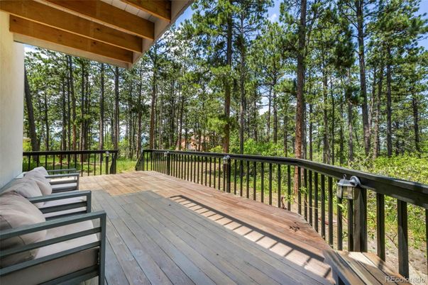 Exterior, Wood Texture Flooring