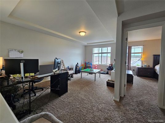 Bedroom, Billiard Table, Game Room, Home Office, Interior