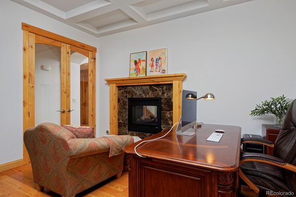 Fireplace, Home Office, Interior, Wood Texture Flooring