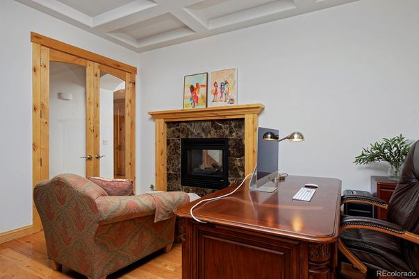Fireplace, Home Office, Interior, Wood Texture Flooring