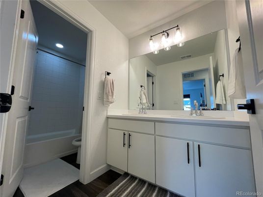 Bathroom, Interior, Recessed Lighting, Wood Texture Flooring