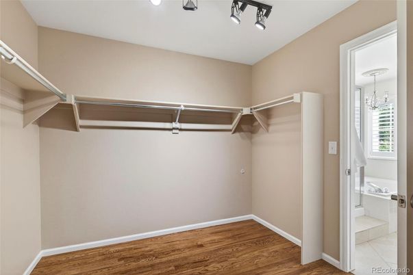 Interior, Walk-in Closets, Wood Texture Flooring