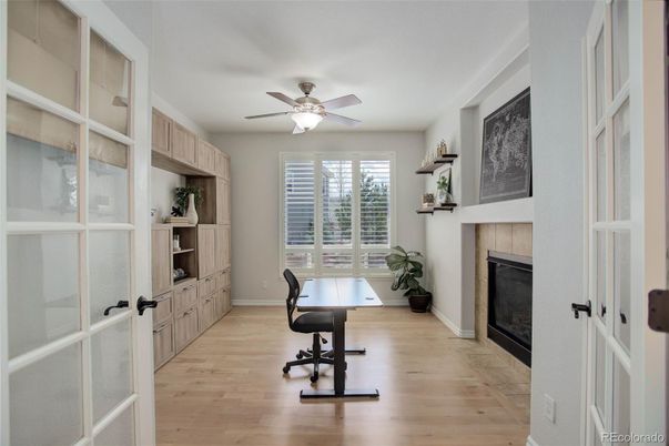 Fireplace, Home Office, Interior, Wood Texture Flooring