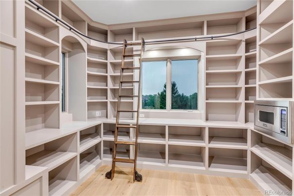 Interior, Walk-in Closets, Wood Texture Flooring