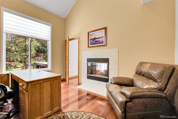 Fireplace, Home Office, Interior, Wood Texture Flooring