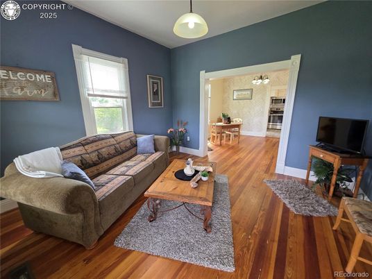 Interior, Living room, Pendant Lights, Wood Texture Flooring