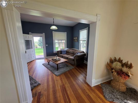 Interior, Living room, Pendant Lights, Wood Texture Flooring