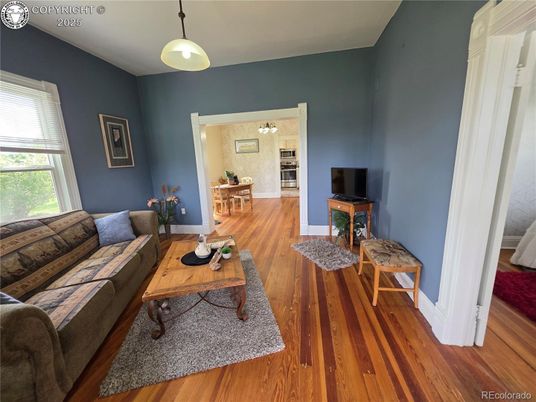 Interior, Living room, Pendant Lights, Wood Texture Flooring