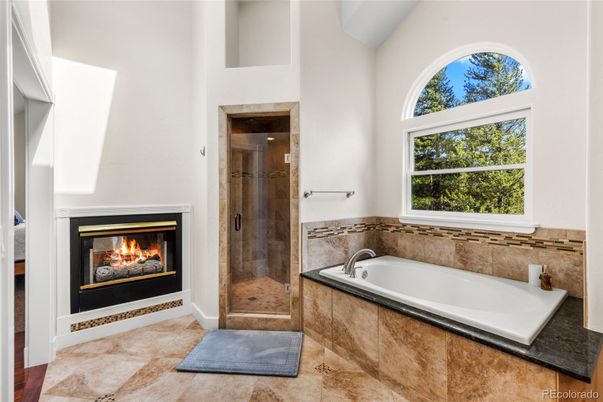 Bathroom, Fireplace, Glass Shower, Interior