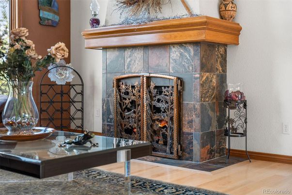 Fireplace, Interior, Wood Texture Flooring