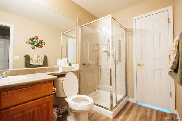 Bathroom, Glass Shower, Interior, Wood Texture Flooring