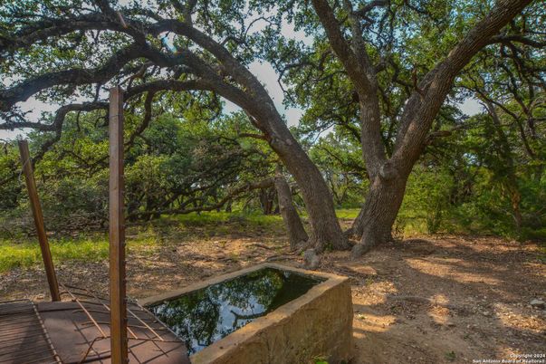 Backyard, Exterior, Lake