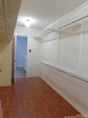 Interior, Walk-in Closets, Wood Texture Flooring
