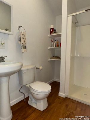 Bathroom, Interior, Wood Texture Flooring