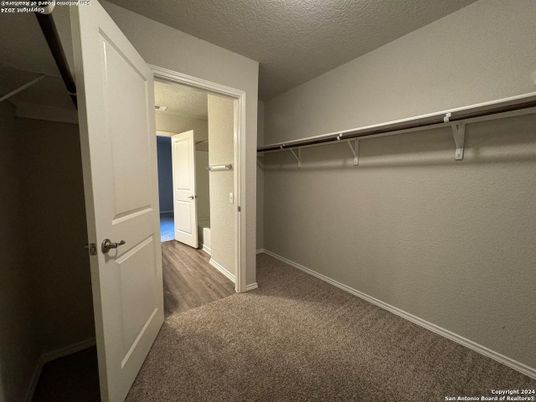 Interior, Walk-in Closets, Wood Texture Flooring