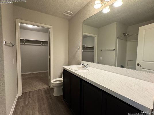 Bathroom, Dual Sink Vanities, Interior, Walk-in Closets, Wood Texture Flooring