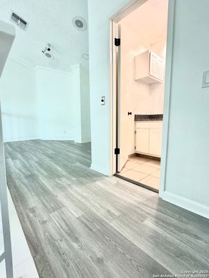 Bathroom, Empty room, Interior, Wood Texture Flooring
