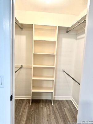 Interior, Walk-in Closets, Wood Texture Flooring