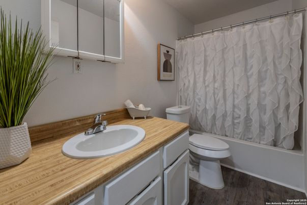 Bathroom, Interior, Wood Texture Flooring