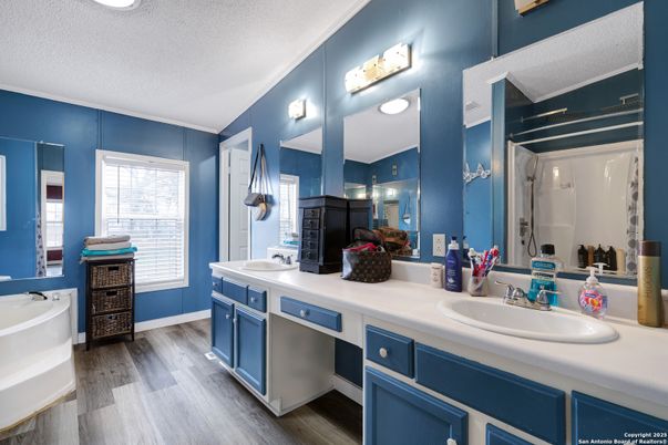 Bathroom, Dual Sink Vanities, Interior, Wood Texture Flooring