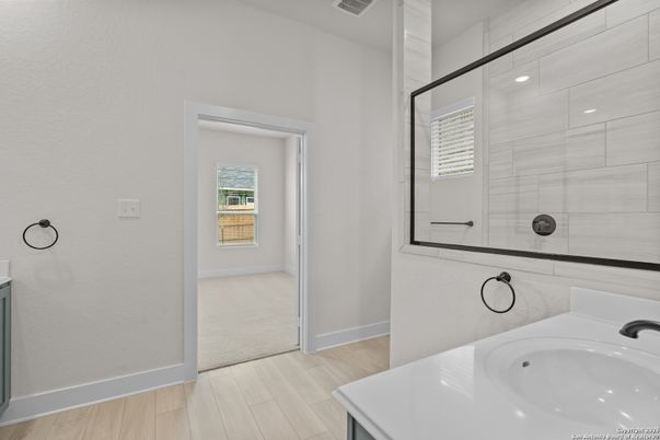 Bathroom, Interior, Wood Texture Flooring