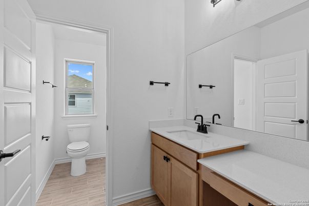 Bathroom, Interior, Wood Texture Flooring