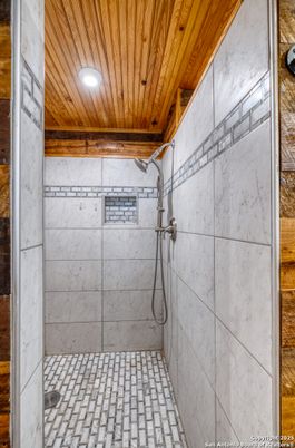 Bathroom, Interior, Wooden Ceilings