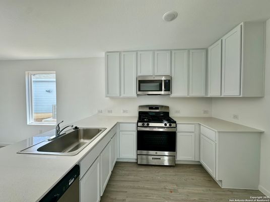 Interior, Kitchen, Stainless Steel Appliances, Wood Texture Flooring