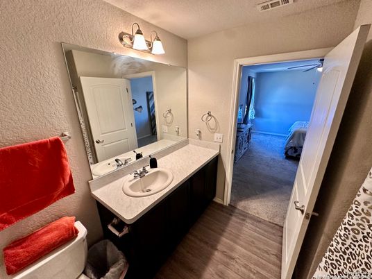 Bathroom, Dual Sink Vanities, Interior, Wood Texture Flooring