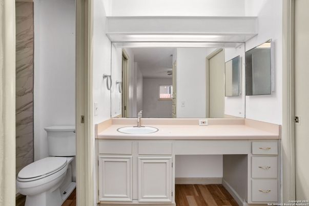 Bathroom, Dual Sink Vanities, Interior, Wood Texture Flooring