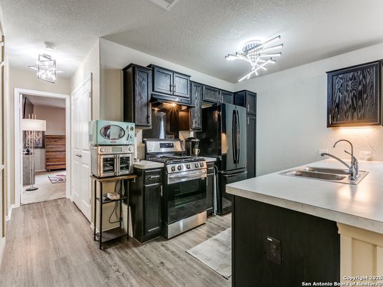 Interior, Kitchen, Stainless Steel Appliances, Wood Texture Flooring