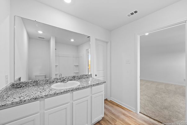 Bathroom, Interior, Recessed Lighting, Wood Texture Flooring