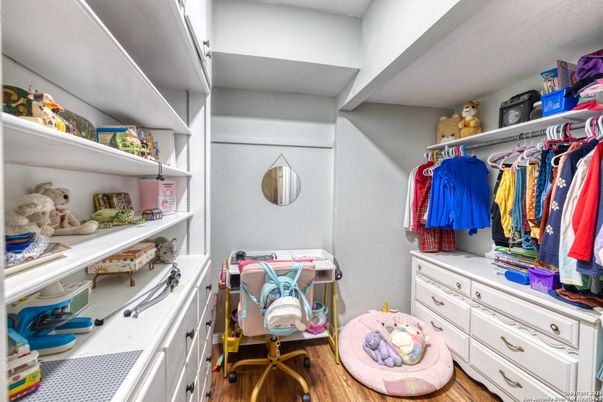 Interior, Walk-in Closets, Wood Texture Flooring