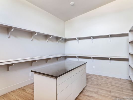 Interior, Walk-in Closets, Wood Texture Flooring