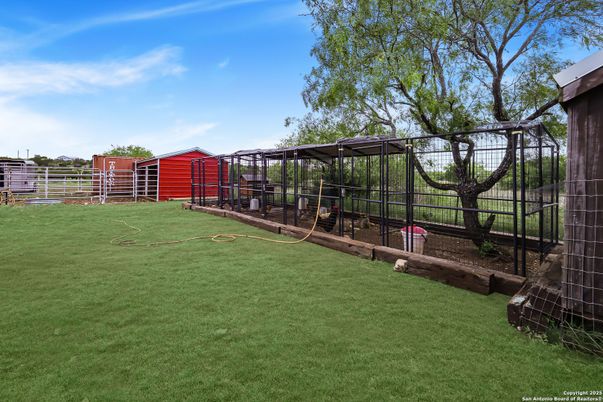Backyard, Exterior
