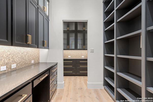 Interior, Walk-in Closets, Wood Texture Flooring
