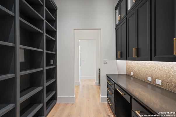 Interior, Walk-in Closets, Wood Texture Flooring