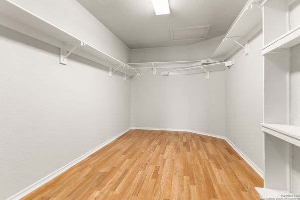 Interior, Walk-in Closets, Wood Texture Flooring