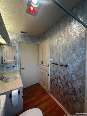 Bathroom, Interior, Wood Texture Flooring