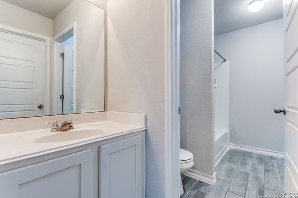 Bathroom, Interior, Wood Texture Flooring