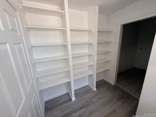 Interior, Walk-in Closets, Wood Texture Flooring