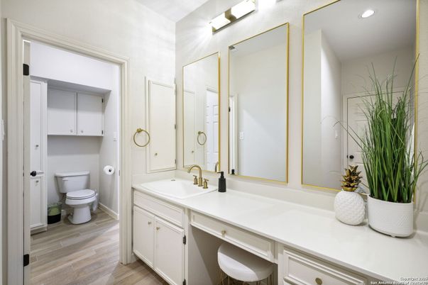 Bathroom, Interior, Recessed Lighting, Wood Texture Flooring