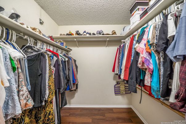 Interior, Walk-in Closets, Wood Texture Flooring