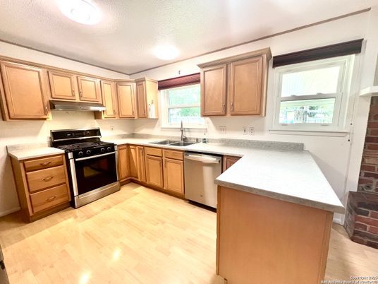 Interior, Kitchen, Stainless Steel Appliances, Wood Texture Flooring