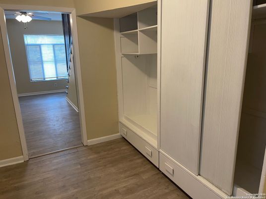 Interior, Walk-in Closets, Wood Texture Flooring
