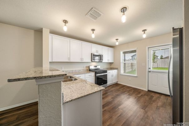 Interior, Kitchen, Stainless Steel Appliances, Wood Texture Flooring