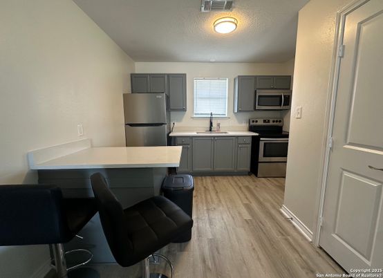Interior, Kitchen, Stainless Steel Appliances, Wood Texture Flooring