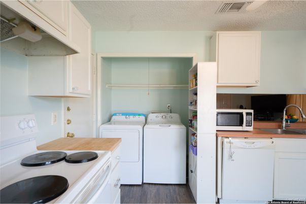 Interior, Kitchen, Washer, Wood Texture Flooring