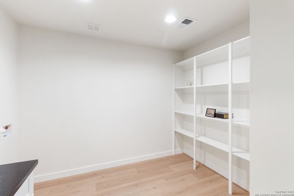 Interior, Recessed Lighting, Walk-in Closets, Wood Texture Flooring
